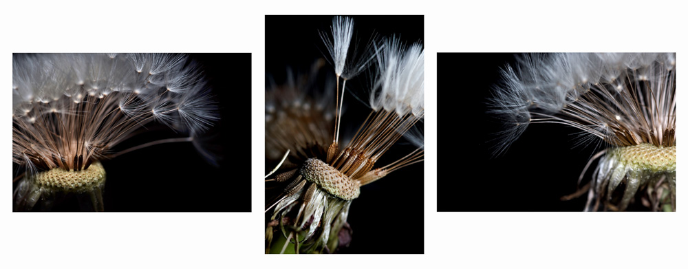 4. Platz Harald Unglert